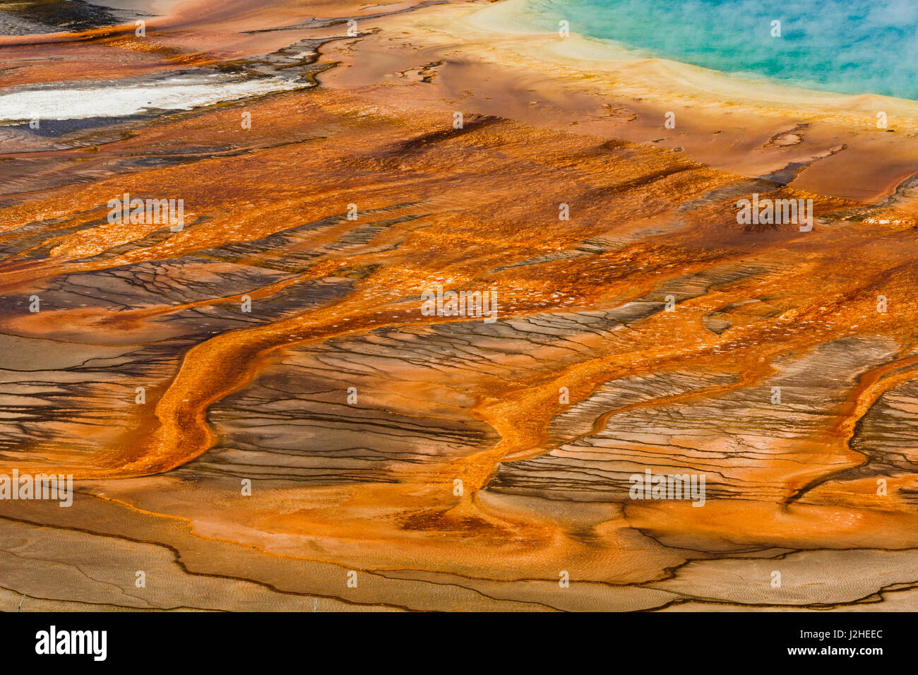 Vista elevada de bacterias mat, Grand Prismatic Spring, Midway Geyser Basin, el Parque Nacional de Yellowstone (Montana, Wyoming) Foto de stock