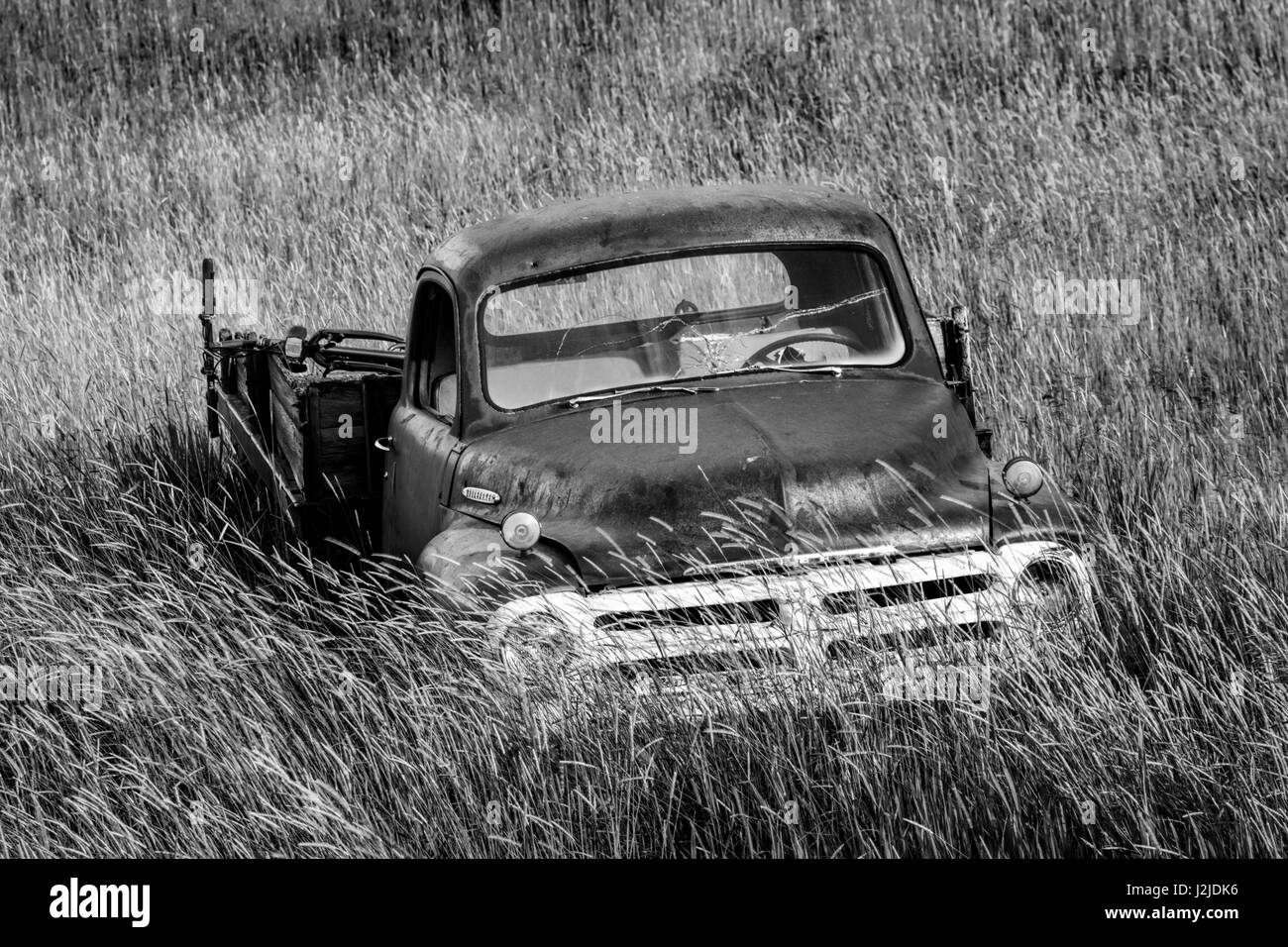Ee.Uu., Estado de Washington, Palouse. B&W de vintage Studebaker pickup en el campo. El crédito como: Dennis Flaherty / Galería / DanitaDelimont.com Jaynes Foto de stock