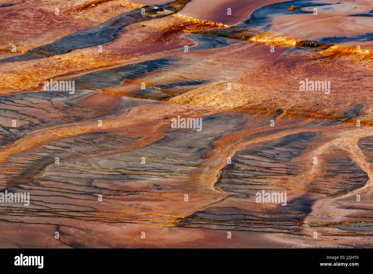 Vista elevada del patrón en mat bacteriana, Grand Prismatic Spring, el Parque Nacional Yellowstone, Wyoming. Foto de stock