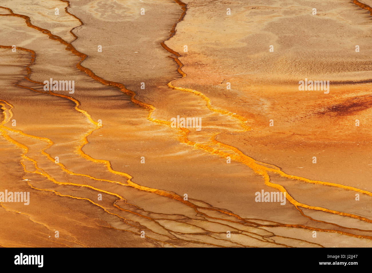 Vista de elevados patrones en mat bacteriana, rodeando Grand Prismatic Spring, Midway Geyser Basin, el Parque Nacional Yellowstone, Wyoming. Foto de stock