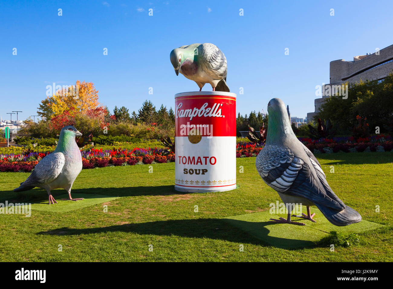 Palomas gigantes fotografías e imágenes de alta resolución Alamy