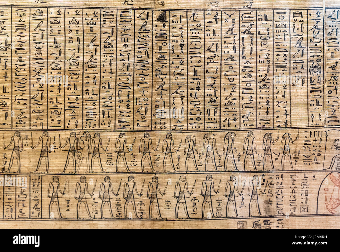 Jeroglíficos. Jeroglíficos egipcios sobre una porción del Papiro Jumilhac, fecha a partir de la tarde o temprano Ptolemaico periodo romano de Egipto. Foto de stock