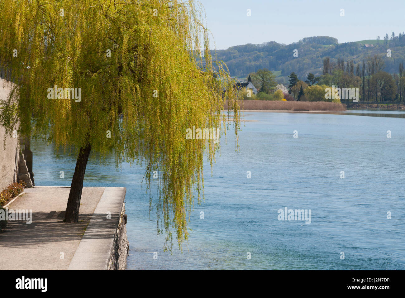 Sauce suizo fotografías e imágenes de alta resolución Alamy