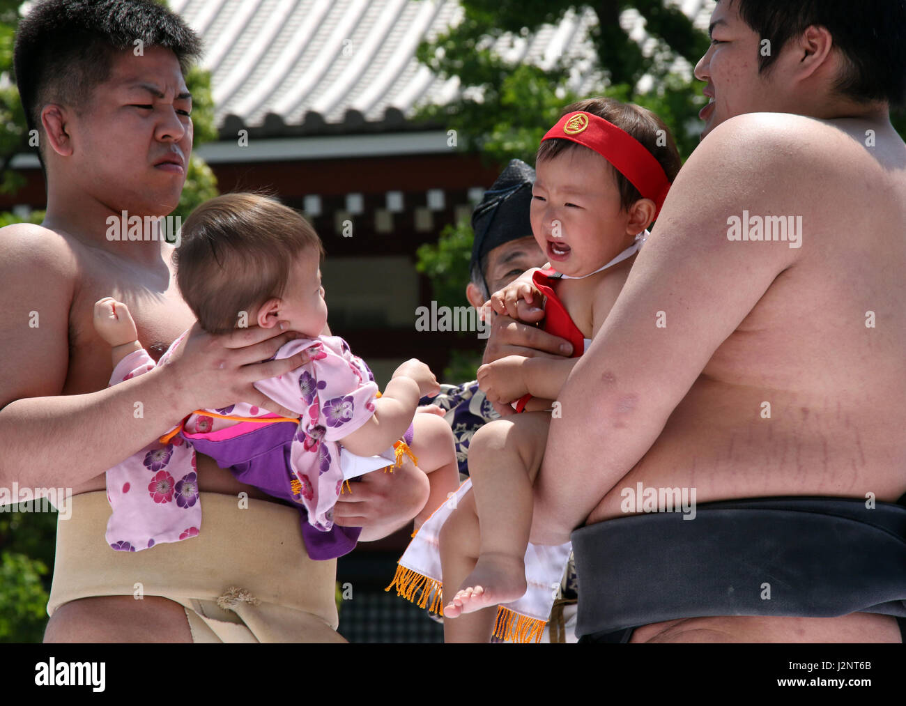 Bebes De Sumo Fotos E Imagenes De Stock Alamy Bebes De Sumo Fotos E Imagenes De Stock Alamy