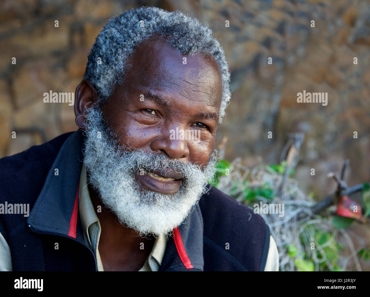 Retrato de un hombre negro guapo barbudo Garden Route Knysna Sudáfrica Foto de stock