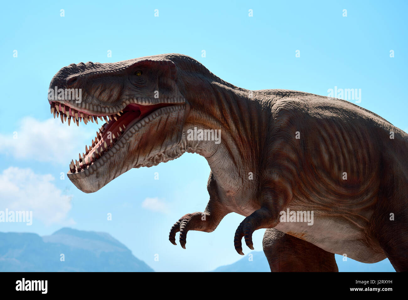 Modelo tiranosaurio rex fotografías e imágenes de alta resolución - Alamy