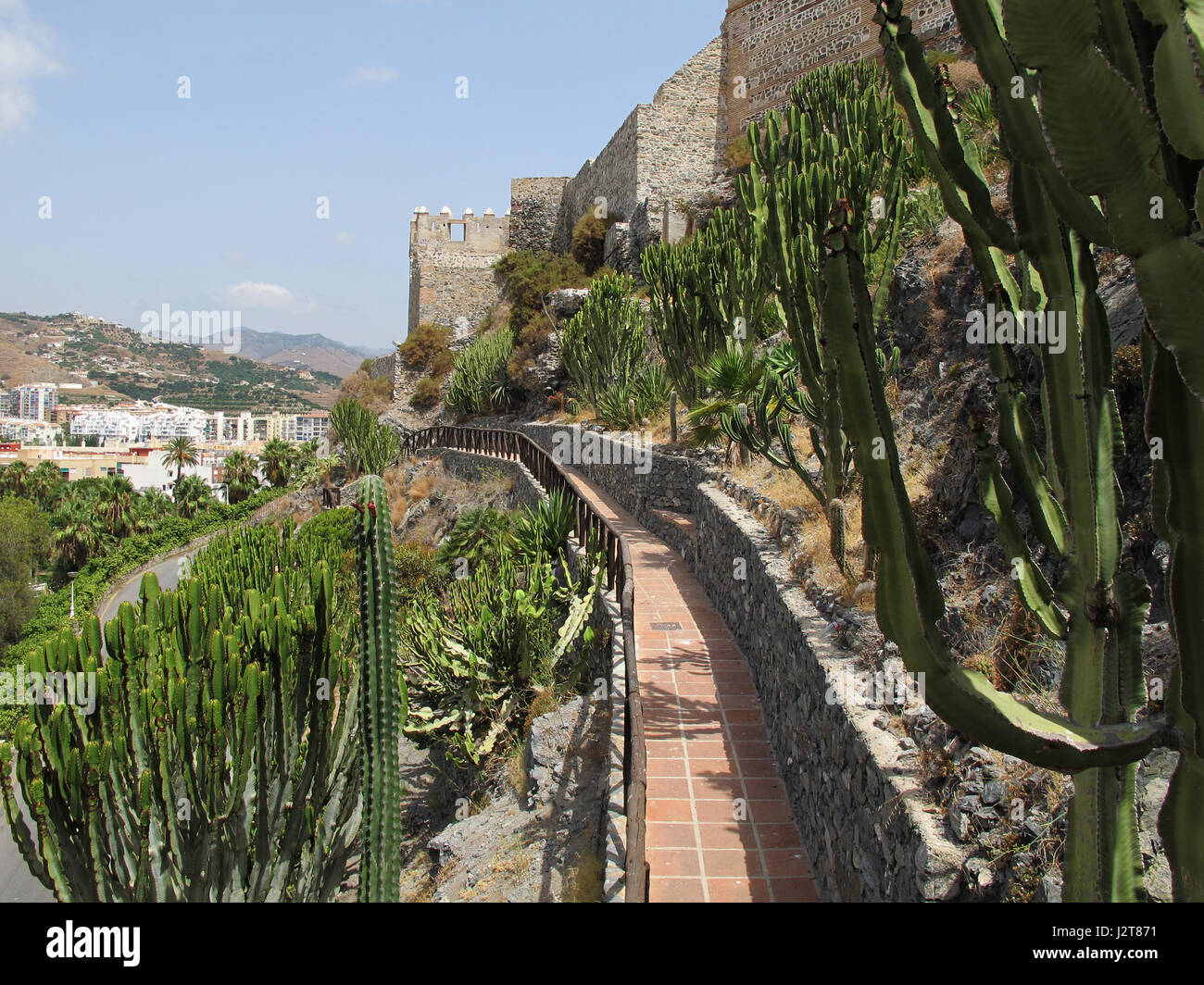 Loro Sexi Bird Park El Jardin De Cactus Y El Castillo San Miguel Almunecar Provincia De Granada Andalucia Costa Tropical Espana Europa Fotografia De Stock Alamy