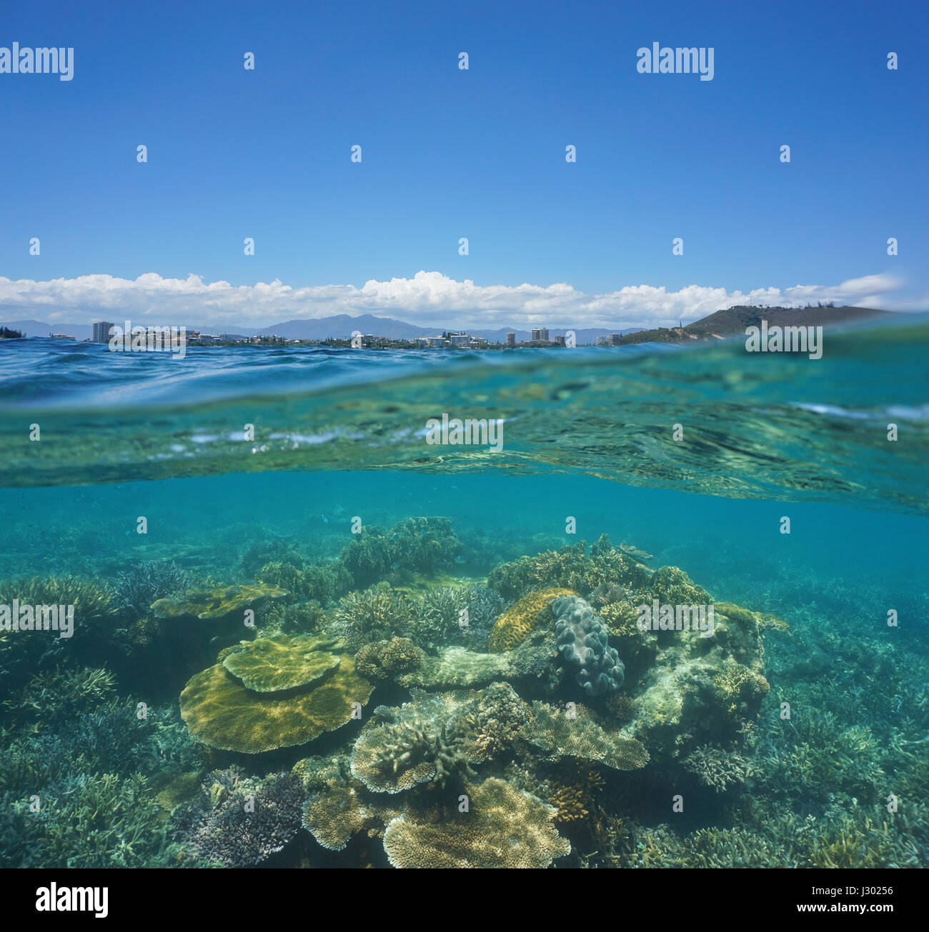 Por debajo de la superficie del agua, hermosos arrecifes de coral bajo el agua con la ciudad de Noumea, en el horizonte, Grande-Terre, Nueva Caledonia, Océano Pacífico del sur Foto de stock