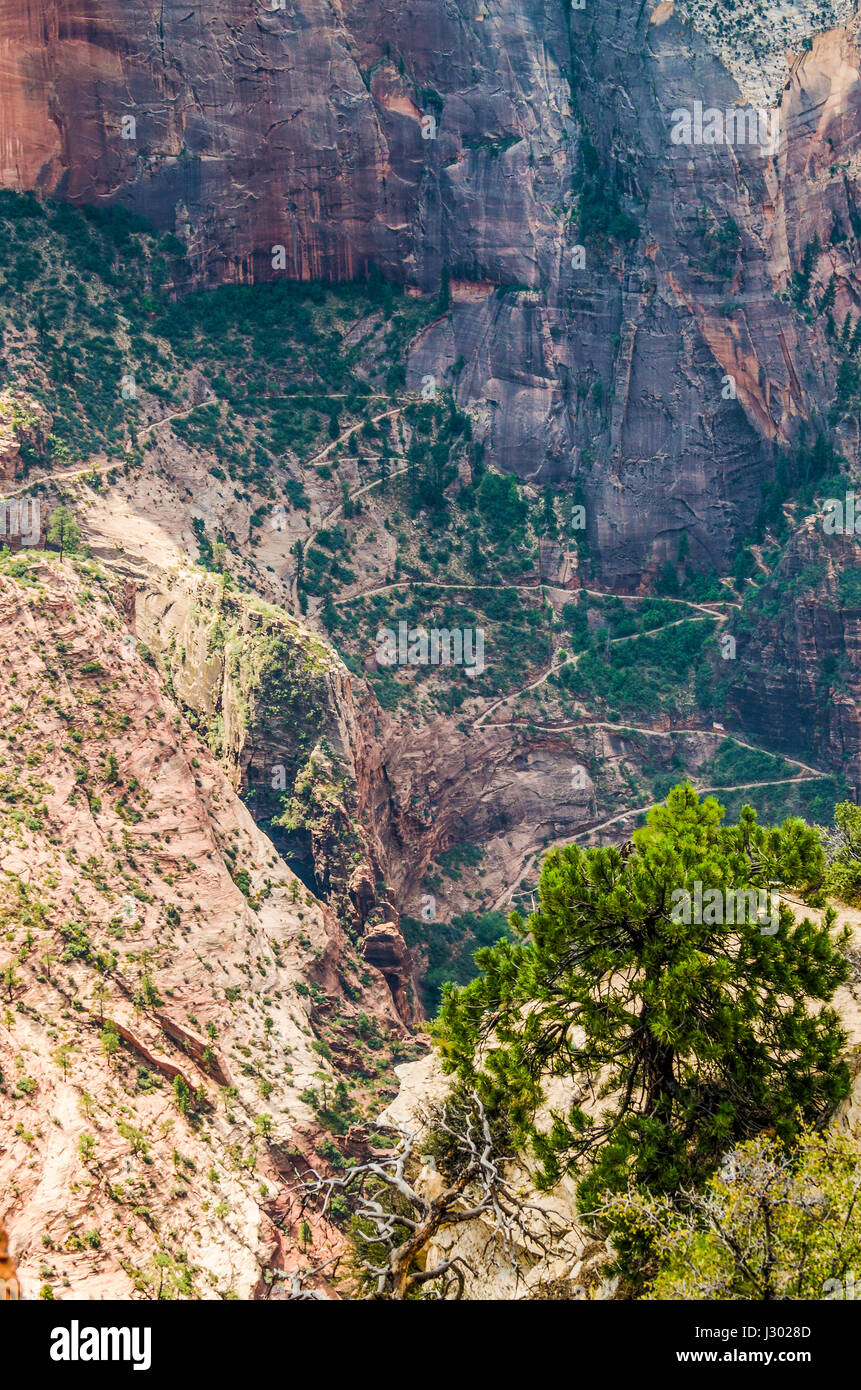 Mirador del Parque Nacional de Zion acantilados desde el punto de observación trail Foto de stock