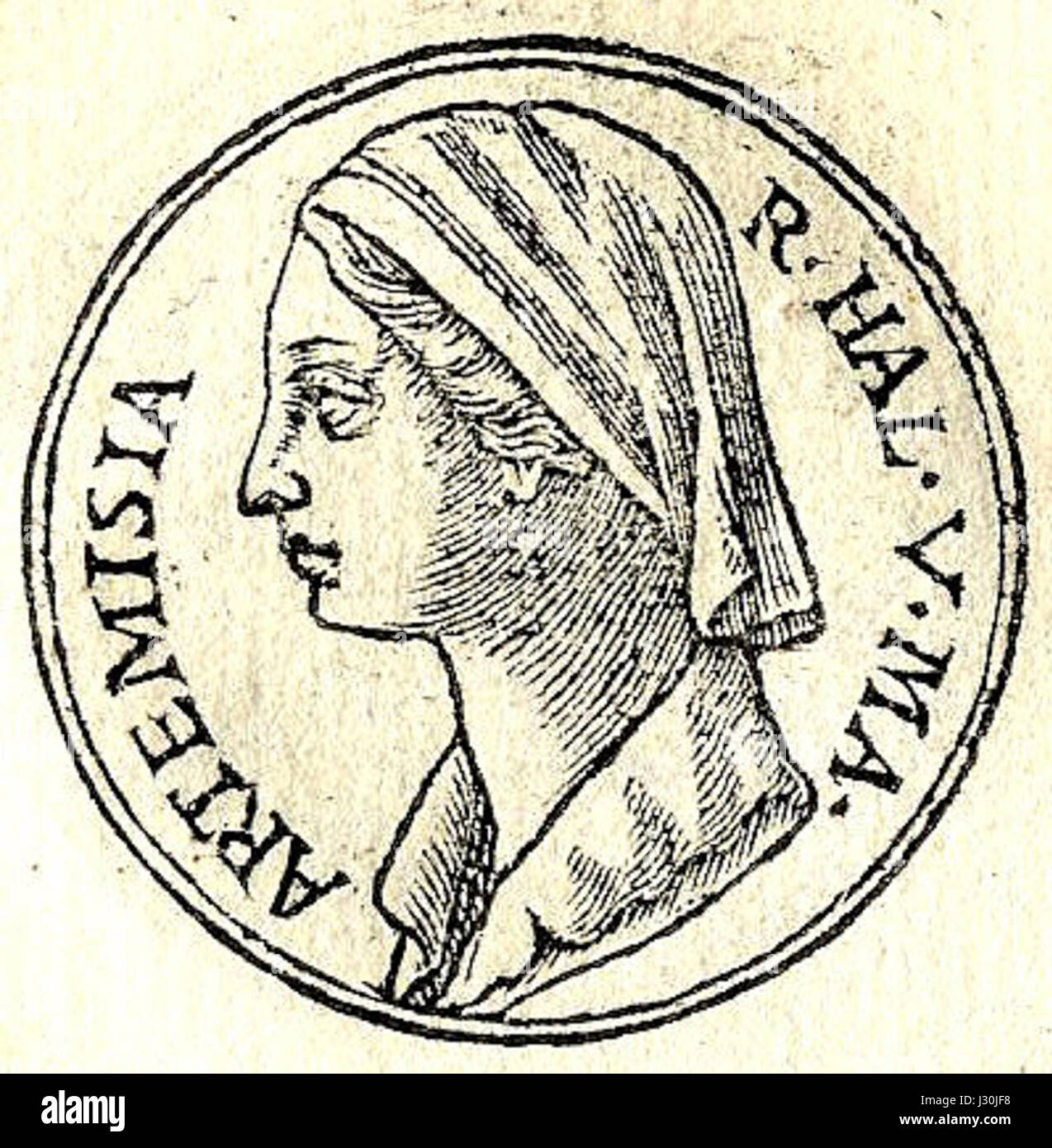 Artemisia of caria fotografías e imágenes de alta resolución Alamy