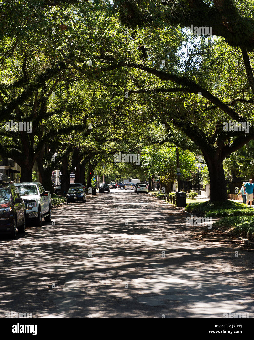 el clima en nueva orleans