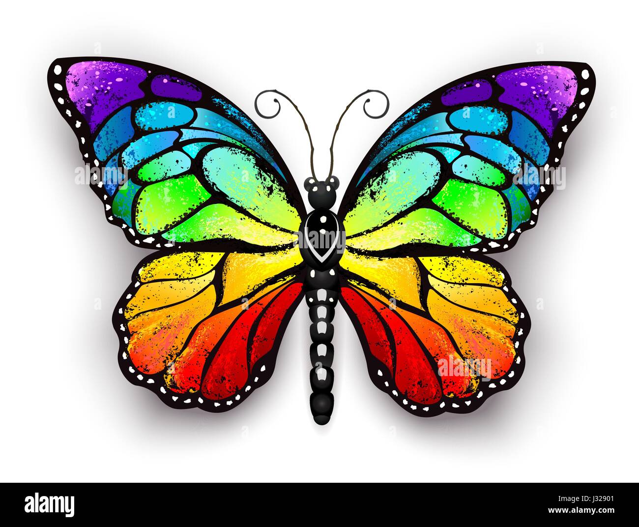 Mariposa arcoiris fotografías e imágenes de alta resolución - Alamy