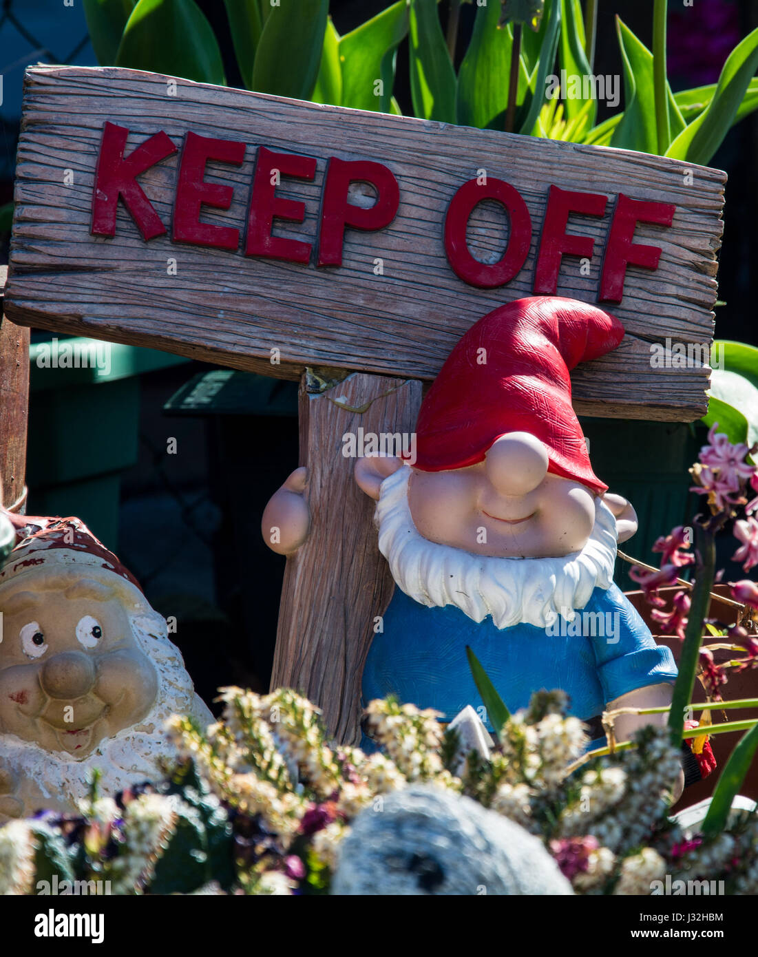 Un enano gnomo de jardín con un cartel que dice "Keep Off'. Alegre jardín ornamental. Podría representar la idea de privacidad - en línea o de lo contrario. Foto de stock