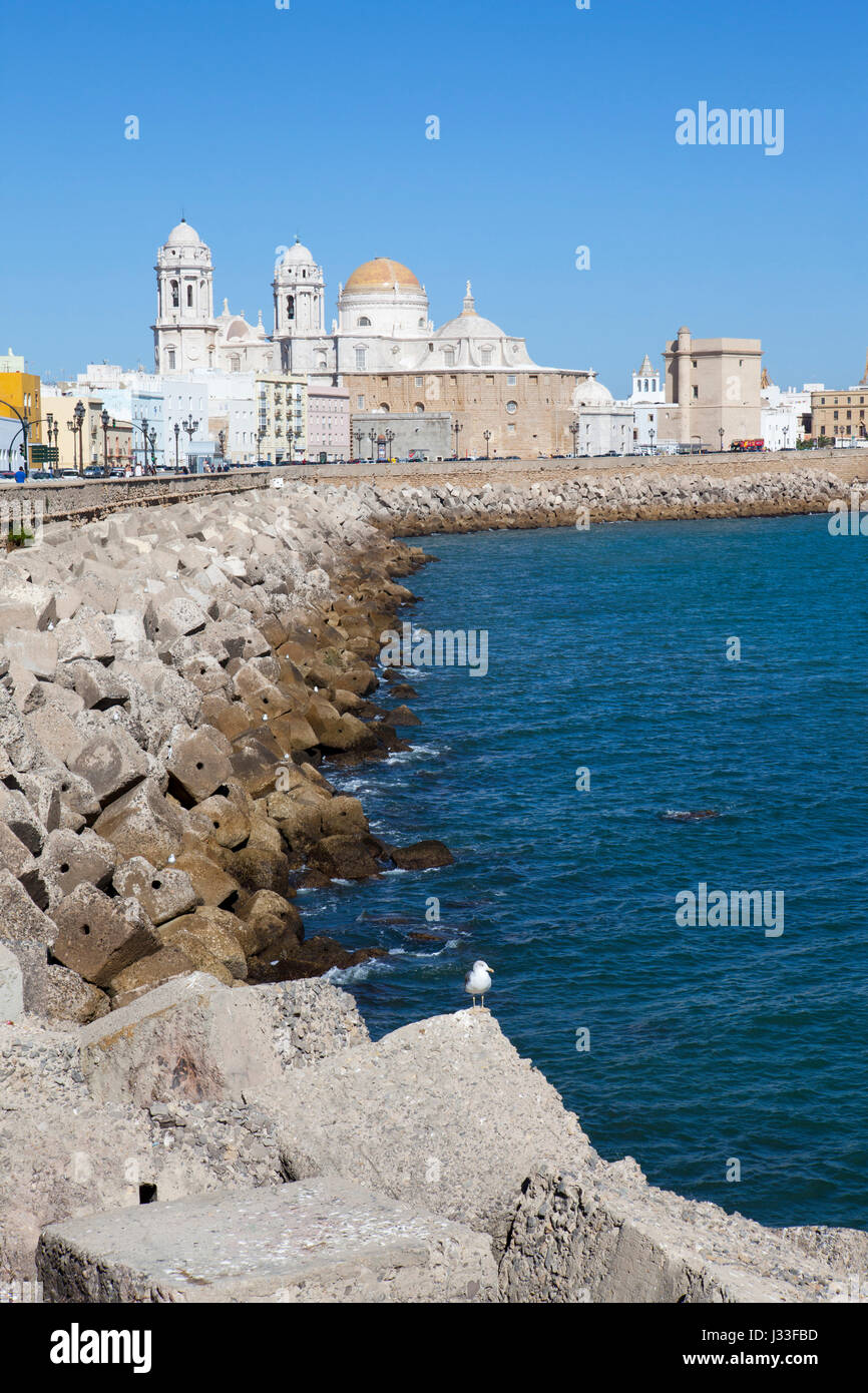 Quai y Catedral, en el centro histórico de la ciudad de Cádiz, Cádiz, Andalucía, España, Europa Foto de stock