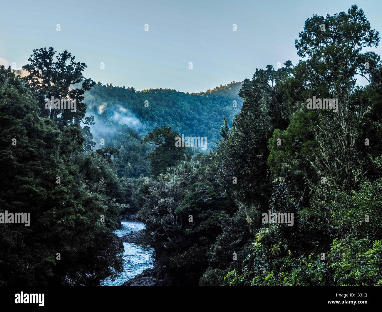 Tauranga río que fluye a través del bosque nativo, Bush clad Hills, niebla de la mañana subiendo, Te Urewera National Park, Bahía de Plenty, Isla del Norte, Nueva Zelanda Foto de stock