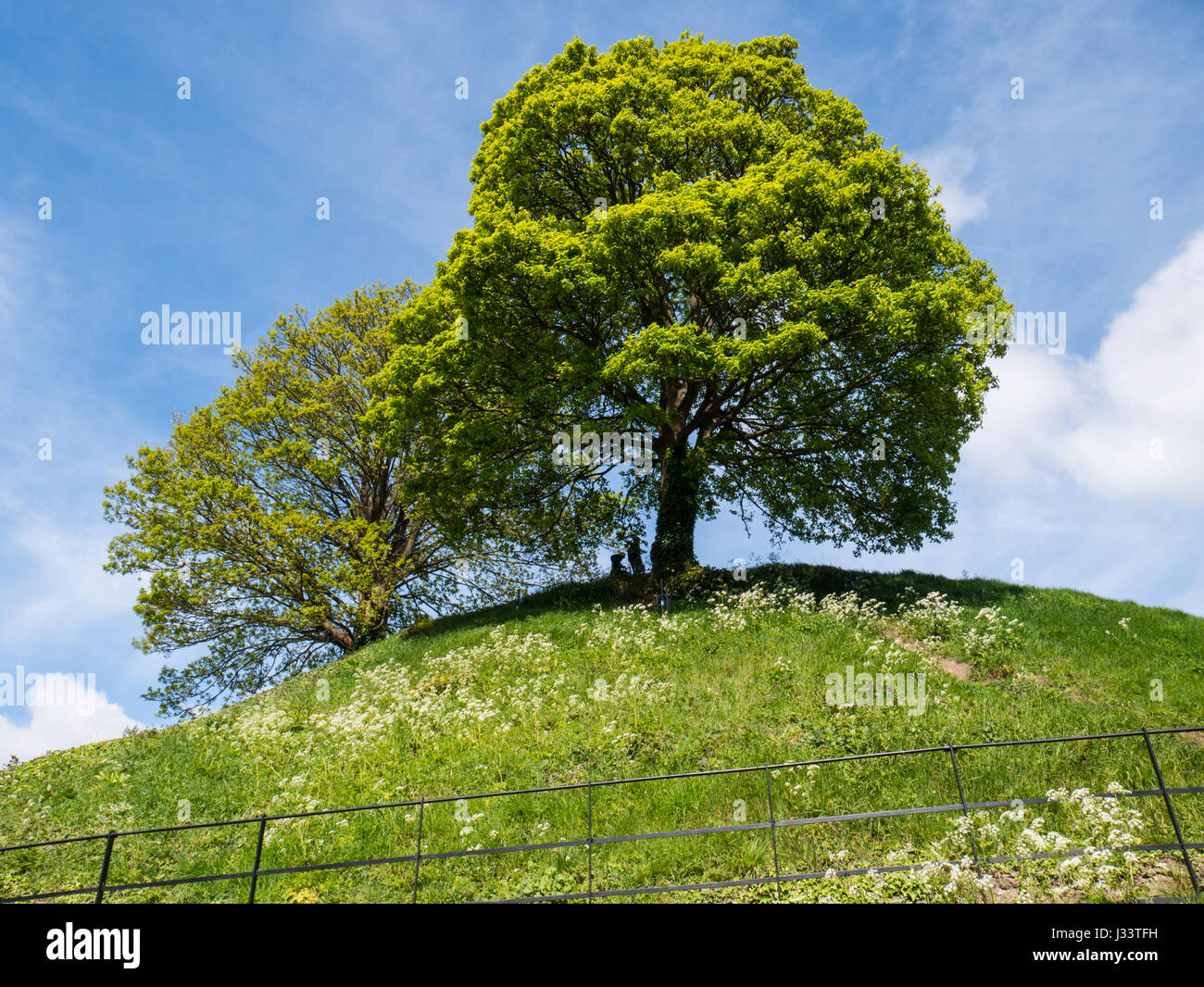 Montículo del castillo, el castillo de Oxford, Oxford, Oxford, Inglaterra Foto de stock