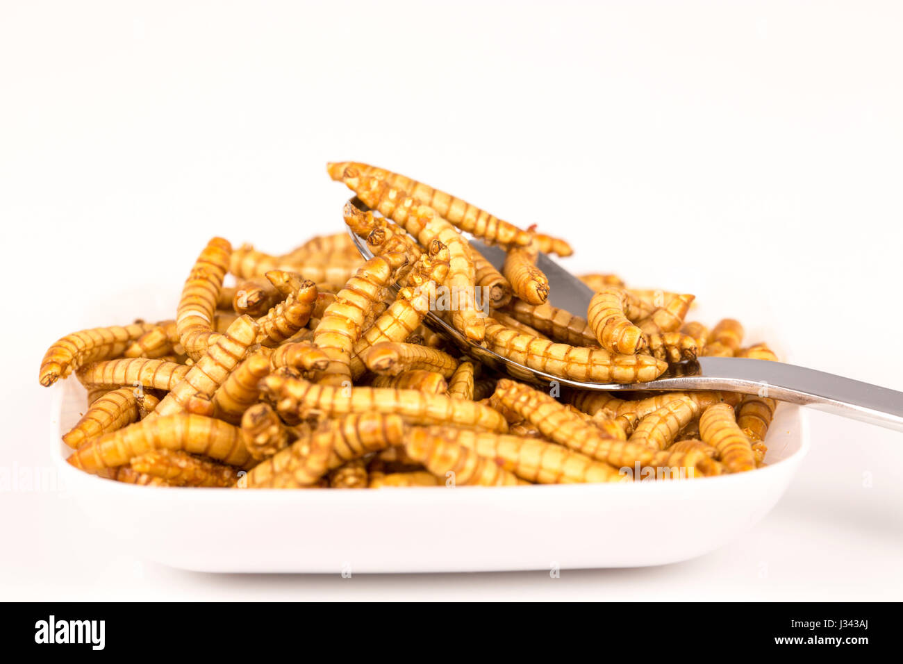 Plato de insectos fritos con cuchara. molitors, futuros de alimentos ricos en proteínas Foto de stock