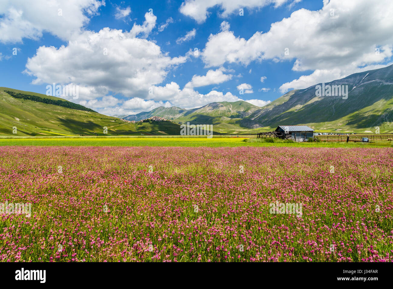 Hermoso paisaje de verano en Piano Grande (Gran Llanura) meseta montañosa en los Apeninos, Castelluccio di Norcia, Umbría. Foto de stock
