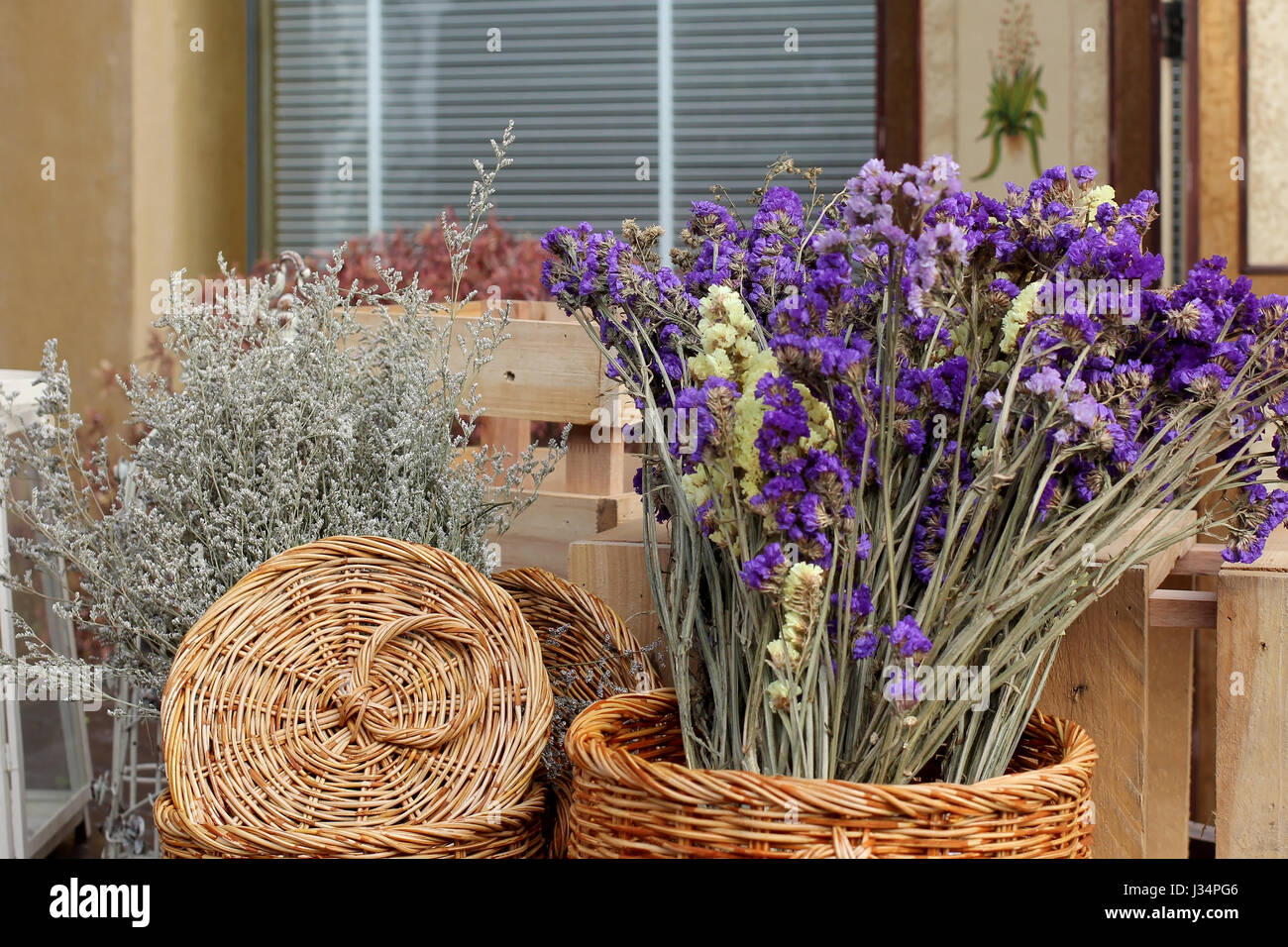 Flor de violeta seca fotografías e imágenes de alta resolución - Alamy