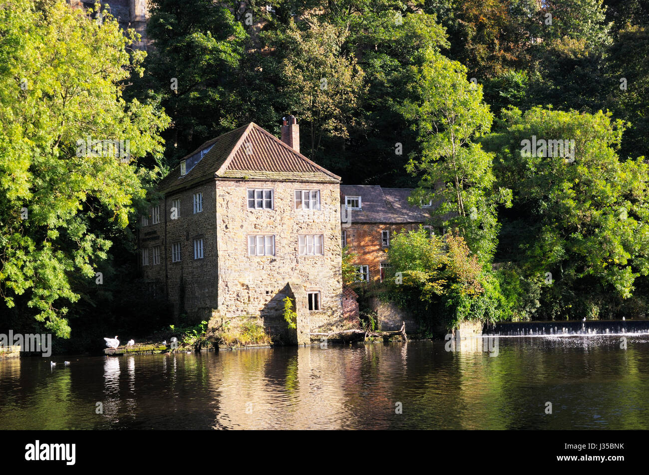 El viejo Fulling Mill en las orillas del río desgaste, de la ciudad de Durham, en el norte de Inglaterra, Reino Unido. Foto de stock