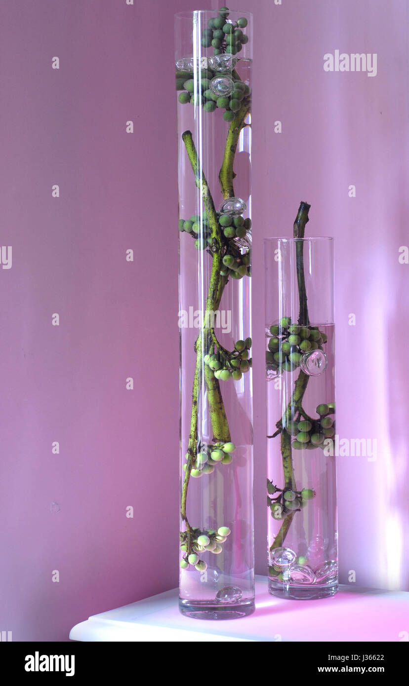 Mayo, comida en rosa y verde tema: las ramas con bayas en floreros tubulares  Fotografía de stock - Alamy