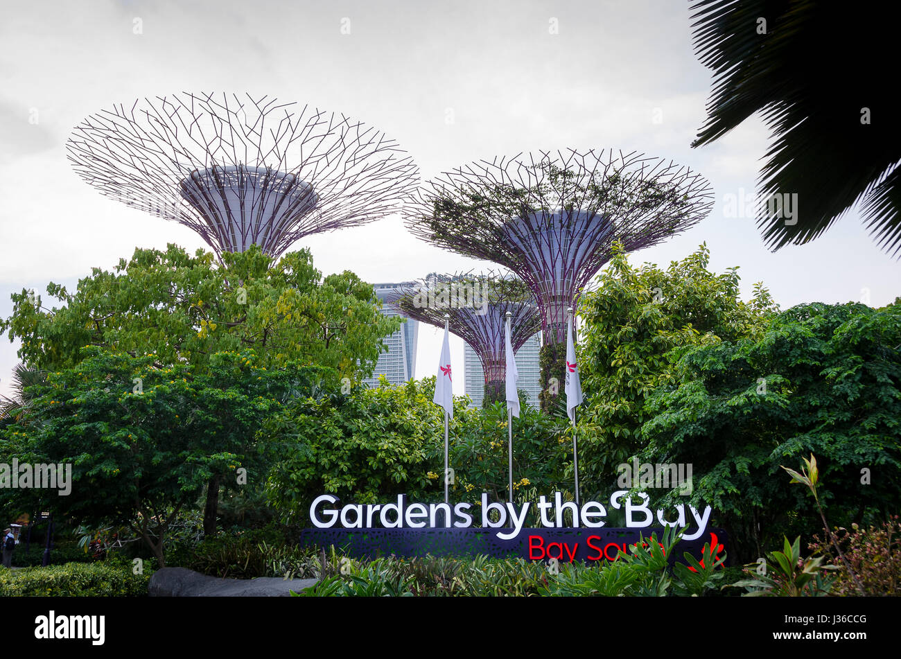 Un árbol artificial jardín vertical en el Supertree Grove en los jardines  junto a la bahía de Singapur Fotografía de stock - Alamy