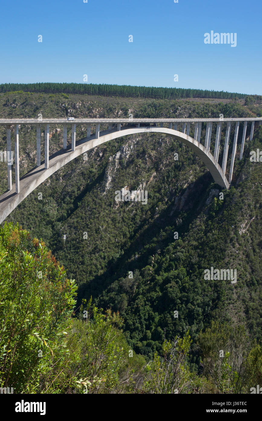 Parque Nacional Tsitsikamma Bloukrans Bridge Garden Route de Sudáfrica Foto de stock