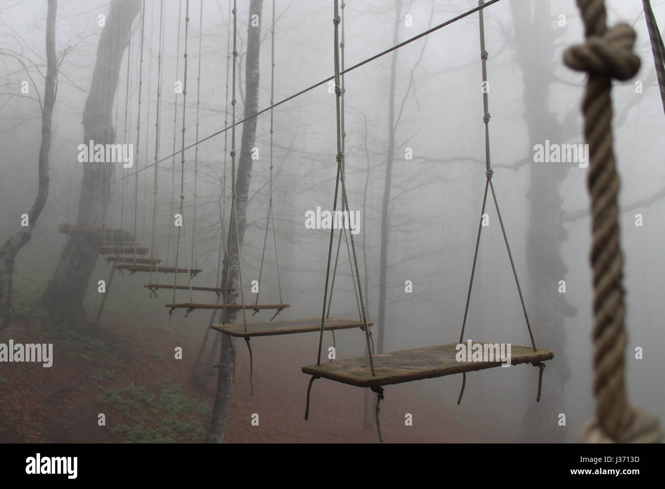 Misteriosas escaleras colgantes en el bosque neblinoso Fotografía de stock  - Alamy
