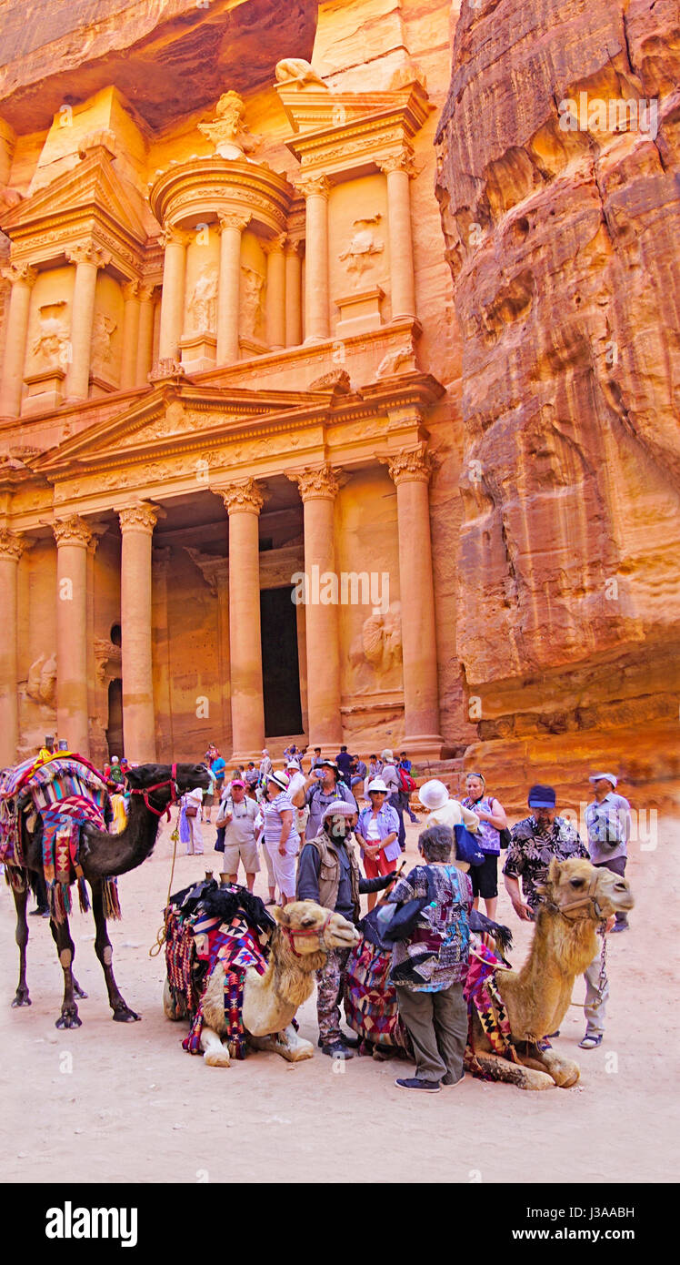 Paseos en camello por el Tesoro en Petra. Foto de stock