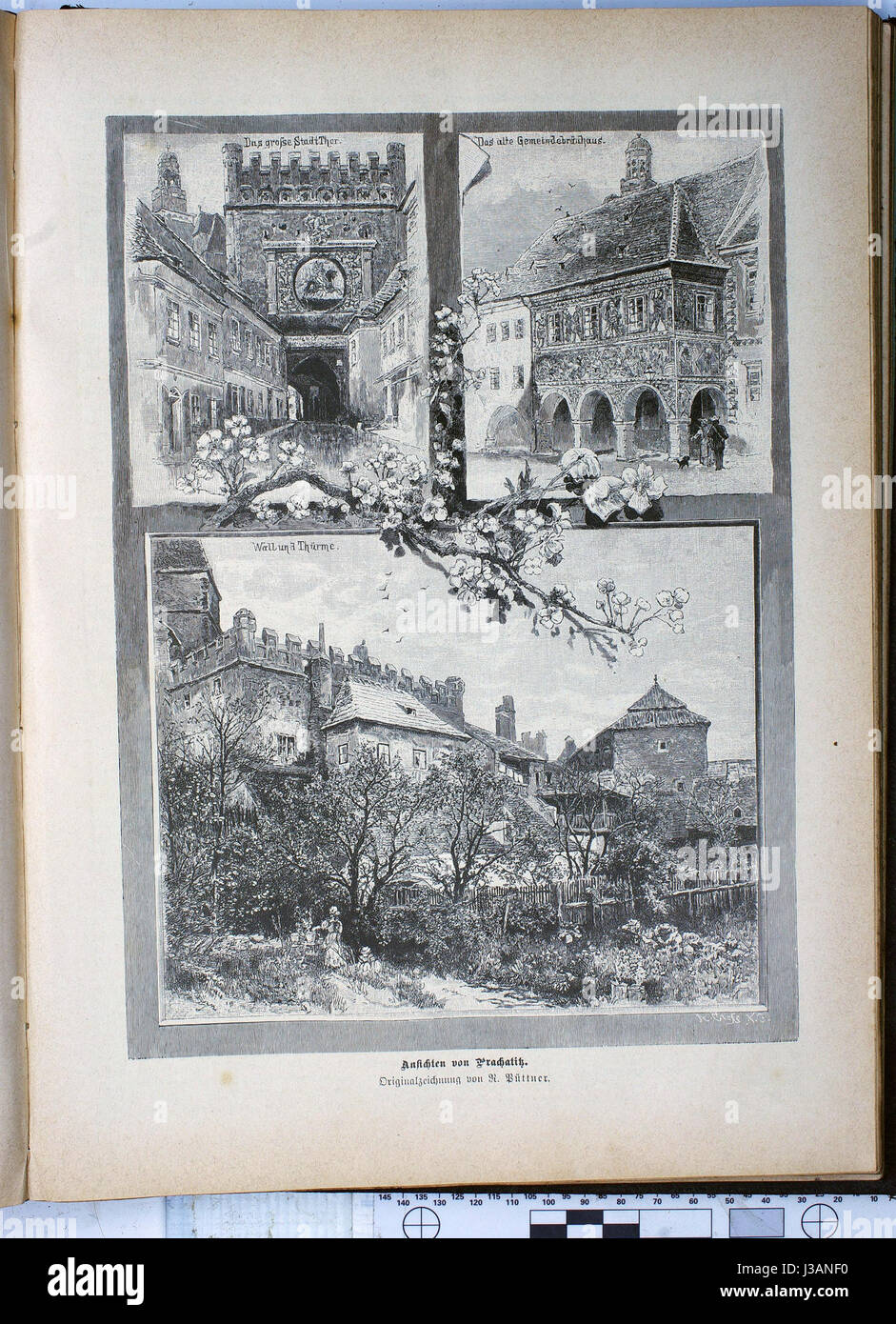 Die Gartenlaube (1886) 729. Foto de stock
