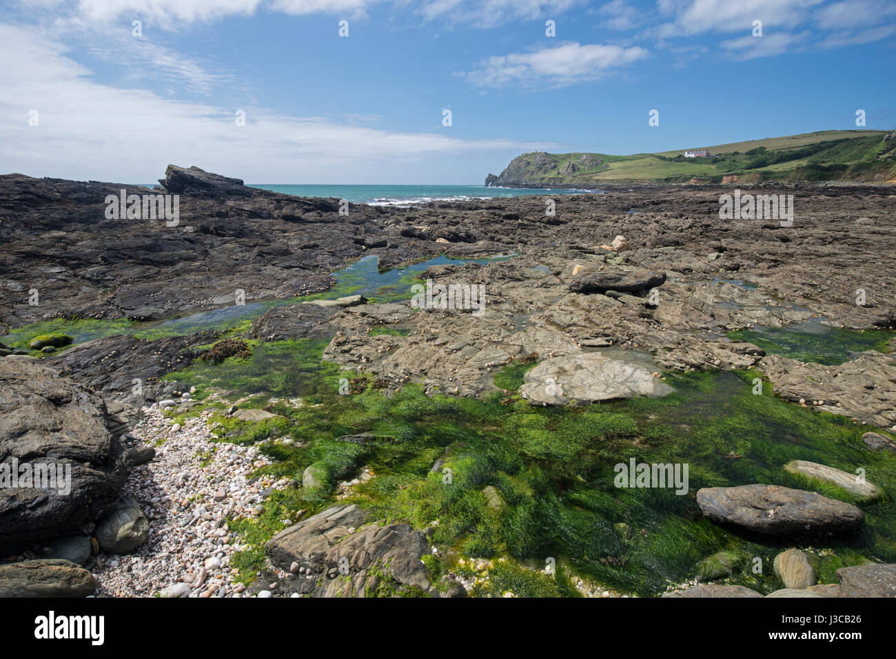 Orilla rocosa con piscinas de roca. Vista hacia el punto Prawle, South Devon, Reino Unido Foto de stock