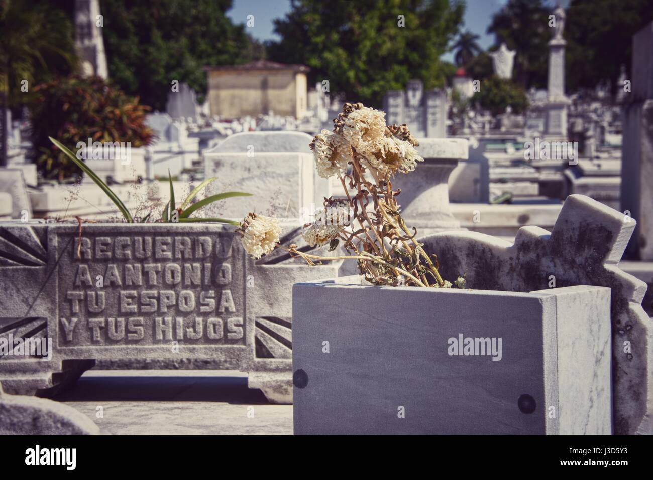 El Cementerio de Colón, o el Cementerio de Cristóbal Colón, fue fundada en 1876 en el Vedado de La Habana, Cuba. Foto de stock