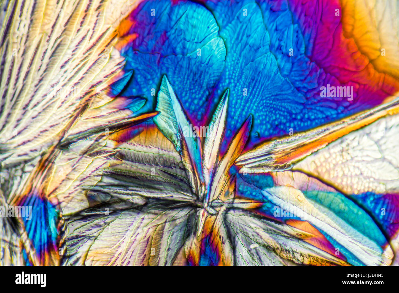 La galactosa cristales microscópicos iluminado con luz polarizada Foto de stock