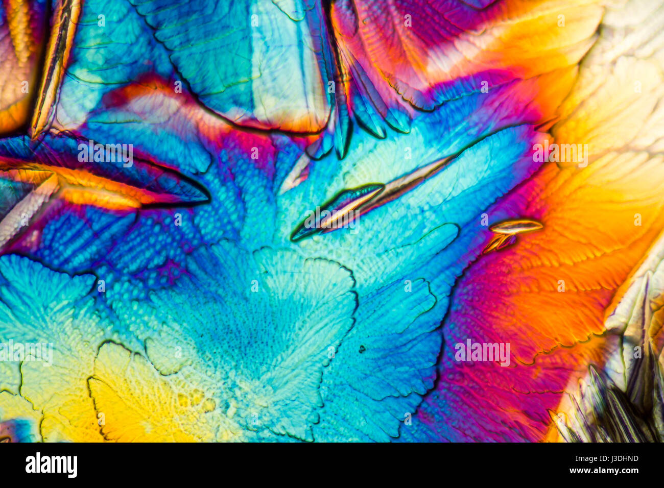 La galactosa cristales microscópicos iluminado con luz polarizada Foto de stock