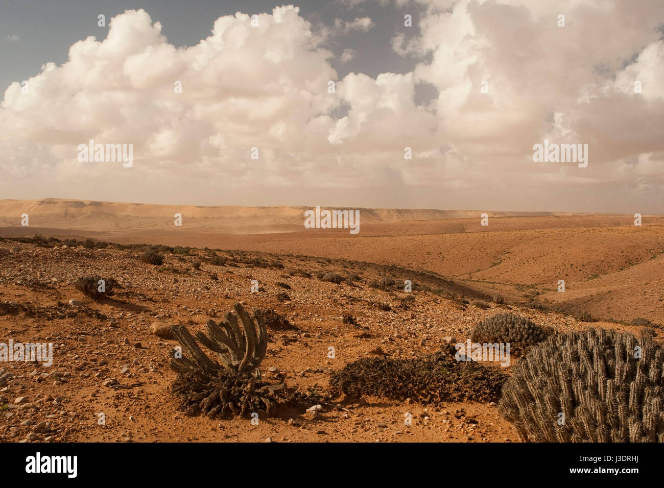 El ancho y la sequía del paisaje durante un viaje a través del Sahara Occidental Foto de stock