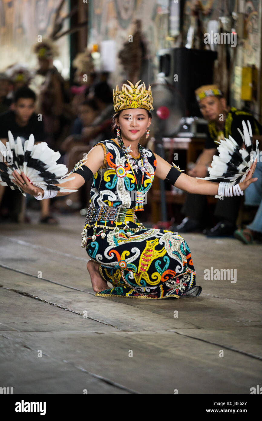 Bastante Dayak Kenyah chica realiza la danza de aves Enggang una danza  tradicional ceremonial de los pueblos indígenas en pleno vestuario tribal  en Pampang Fotografía de stock - Alamy