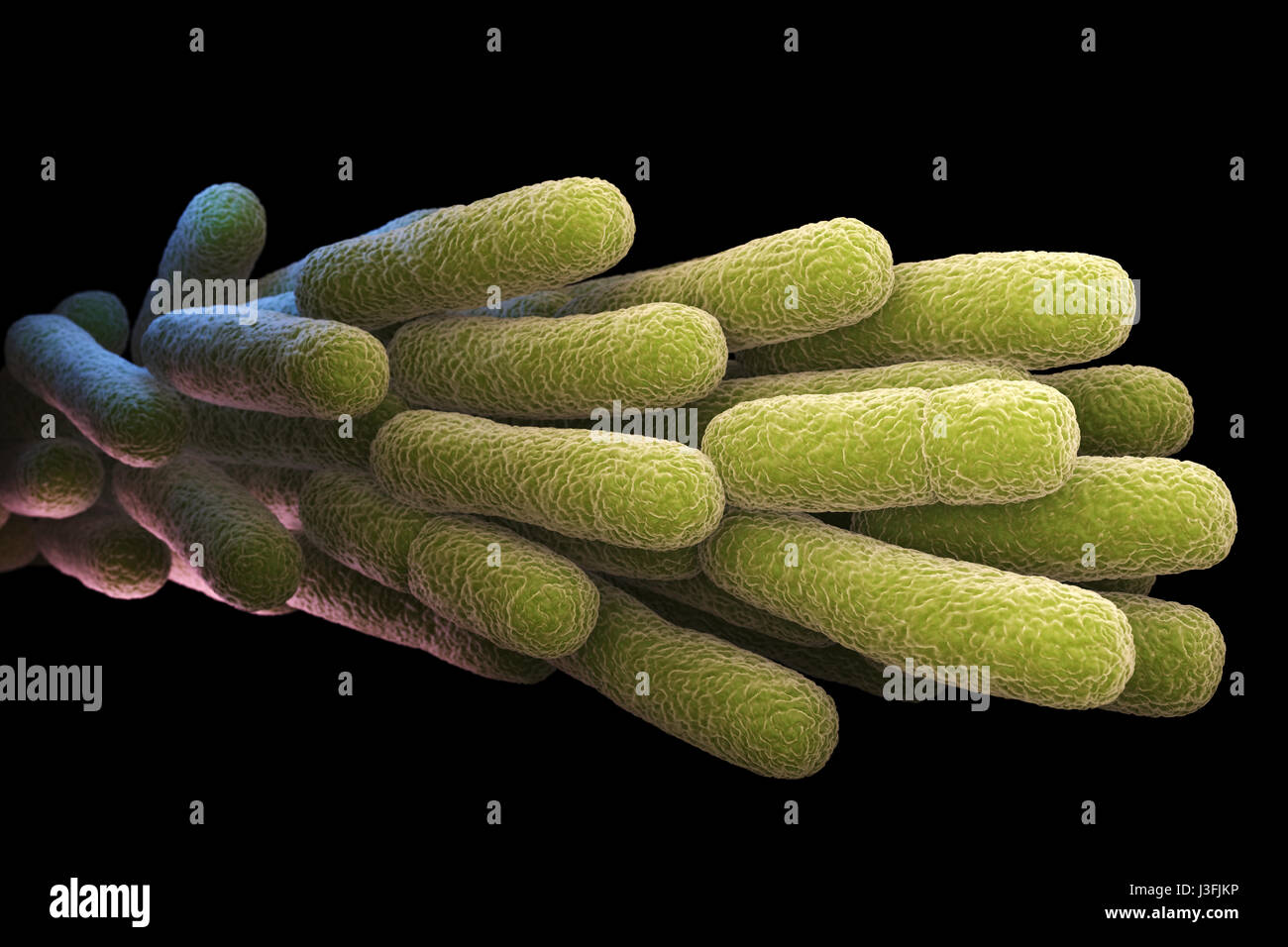 La bacteria Legionella pneumophila. Ilustración 3D Foto de stock