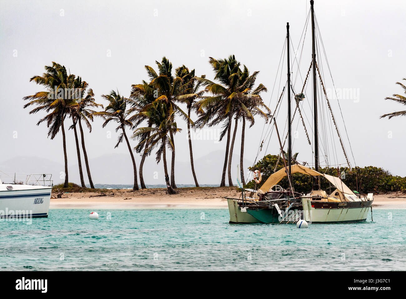 Catamarán atracado en Salt Whistle Bay con palmeras, Mayreau, San Vicente y las Granadinas. Foto de stock