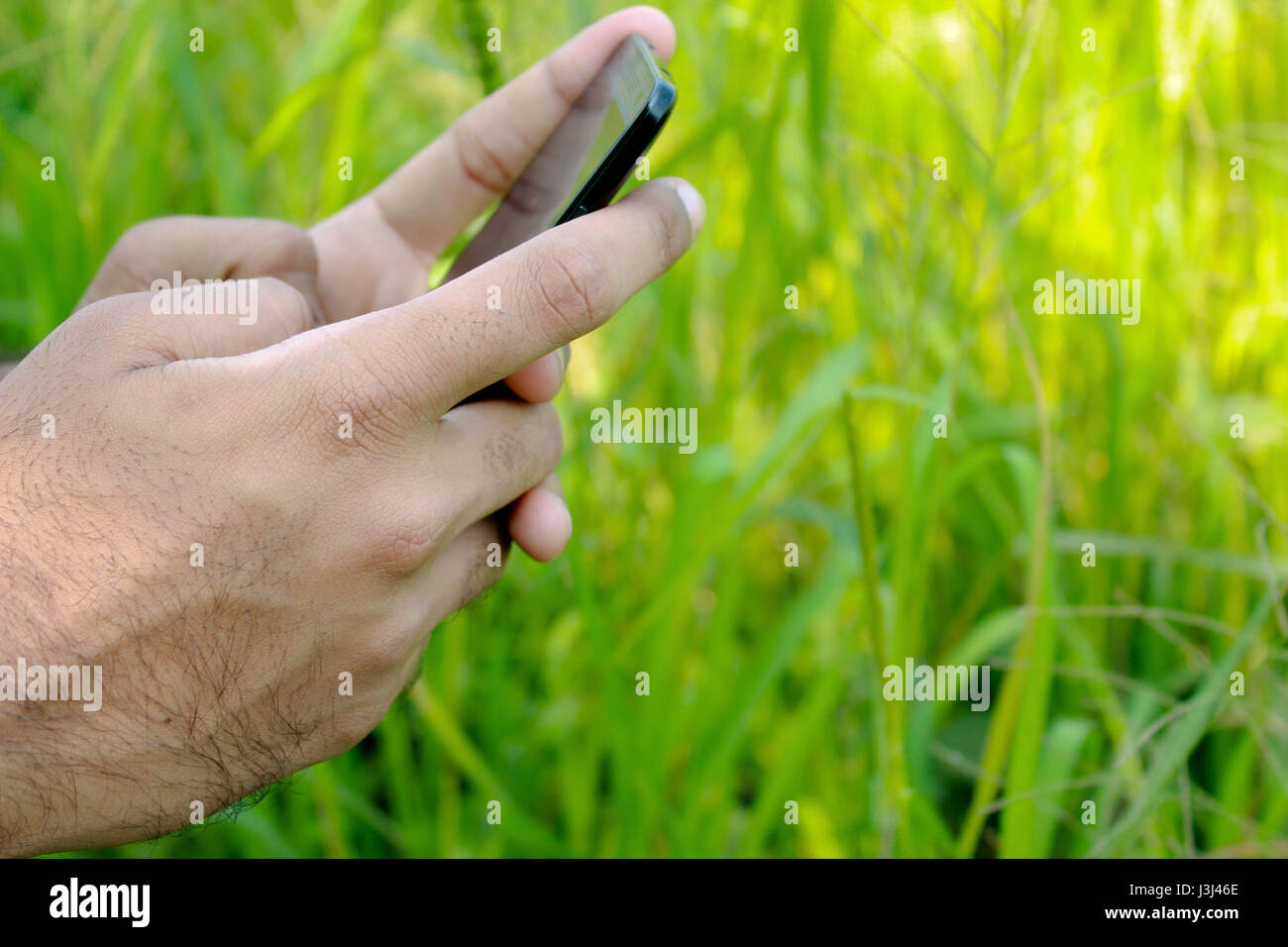Cerca de la ajetreada adolescencia o persona charlando o mensajería y jugar con aplicaciones en un smartphone móvil con el telón de fondo de un campo de hierba verde abierto escénica Foto de stock
