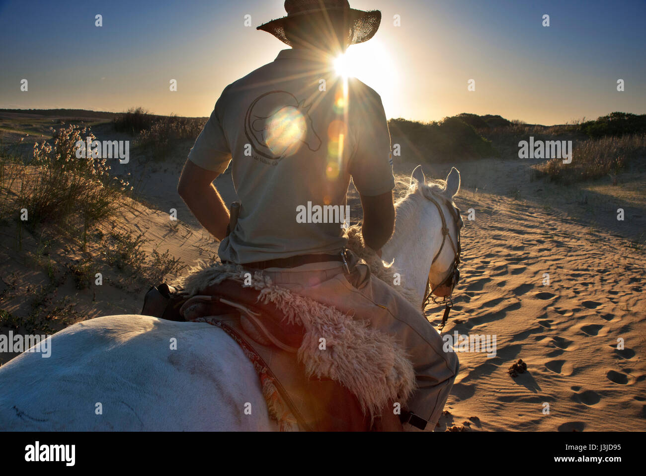Paseo a caballo fotografías e imágenes de alta resolución Alamy