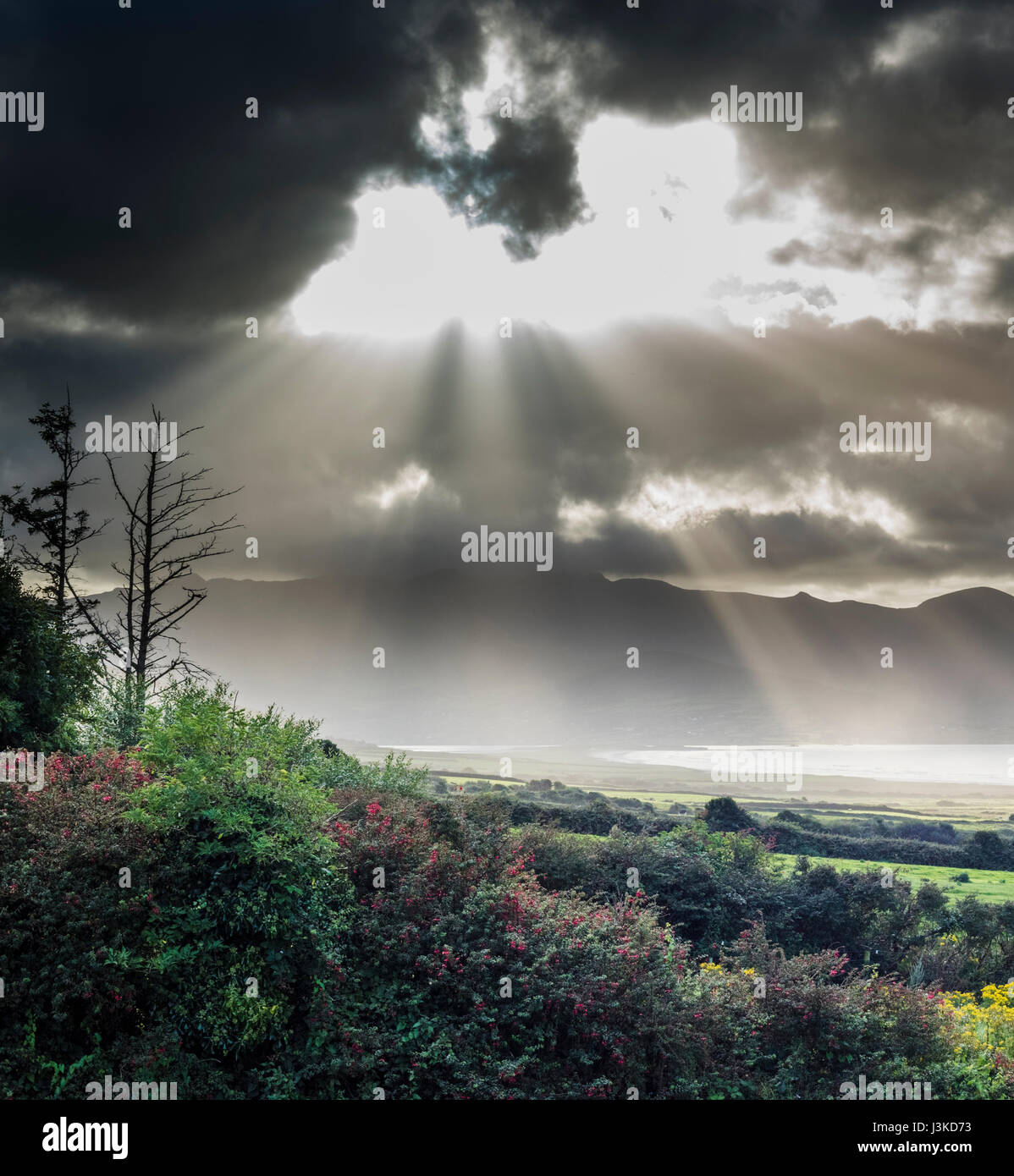 Espectacular ráfaga de sol (rayos crepusculares) sobre la cordillera del Monte Brandon desde cerca de Fermoyle, Dingle Penisula, Condado de Kerry, Irlanda Foto de stock