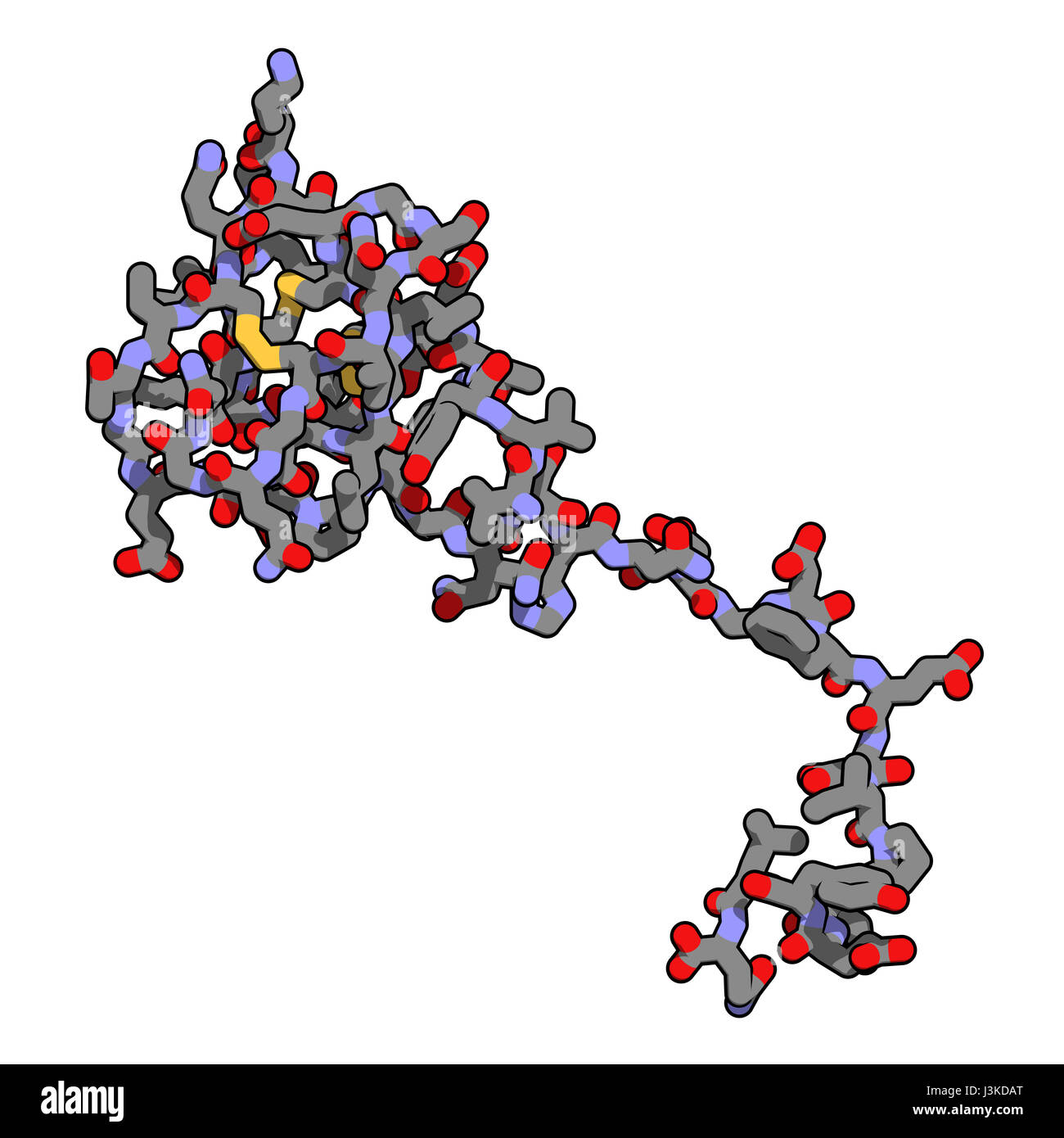 Hirudin molécula de proteína. Proteína anticoagulante de sanguijuelas