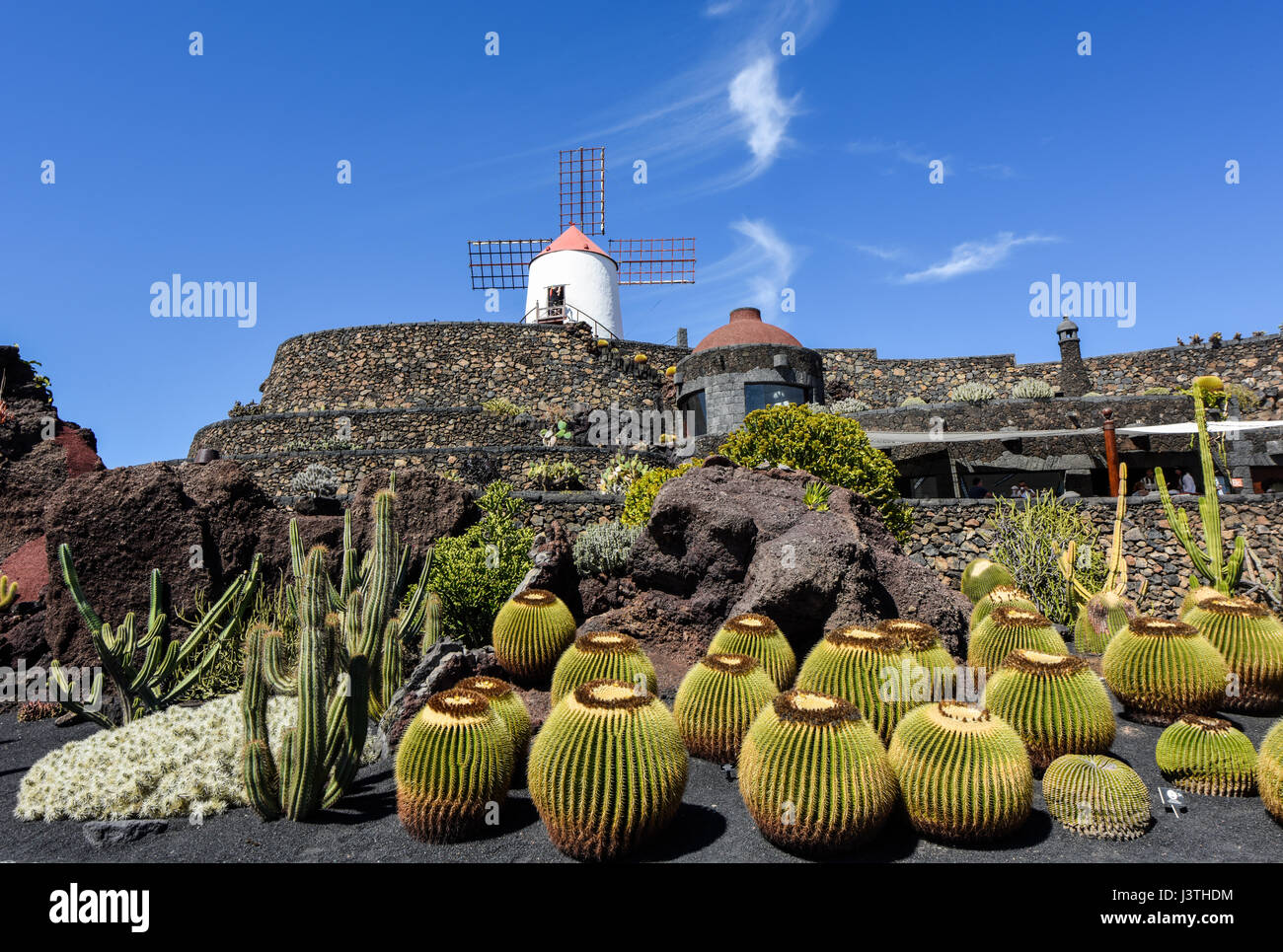 Bellamente diseñado al jardín de cactus en Lanzarote con molino de viento en el fondo. Guatizia, Lanzarote, Islas Canarias, España, Europa Foto de stock