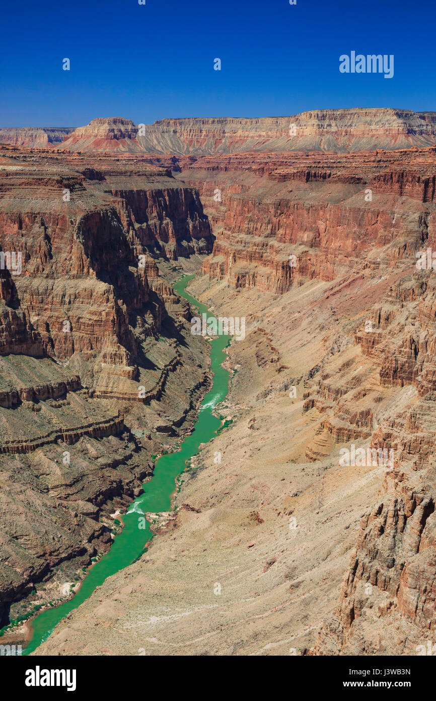 En el río Colorado Rapids fishtail área de parque nacional Grand Canyon, Arizona Foto de stock