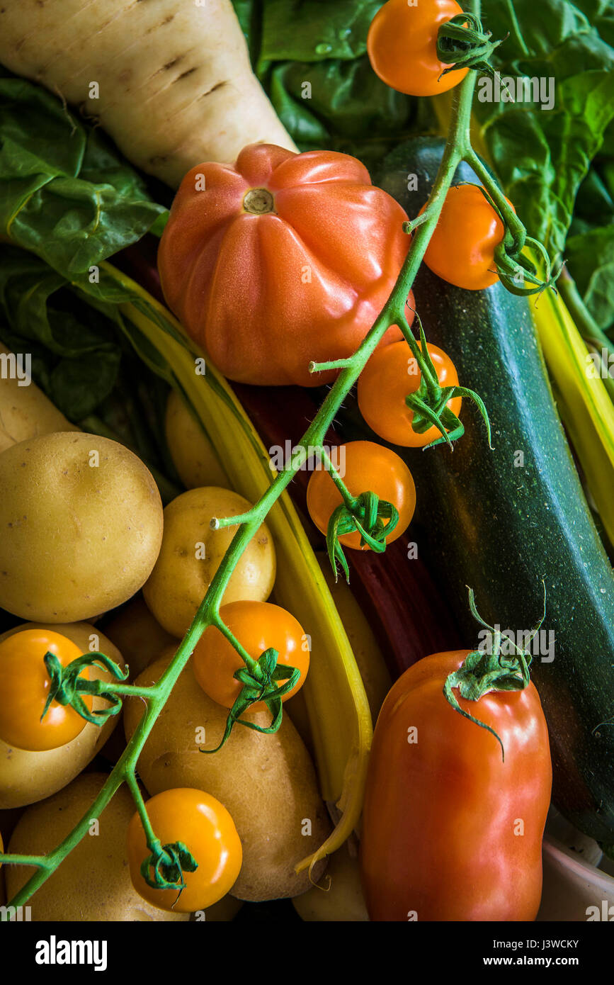 Diversas hortalizas frescas alimentos fuente de nutrición Ingredientes Tomates patatas chirivía ingredientes para cocinar Foto de stock