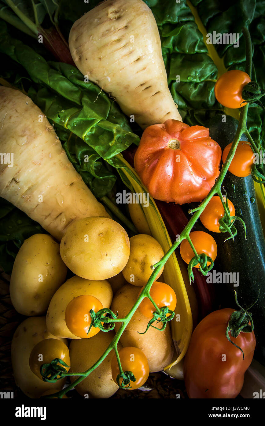 Diversas hortalizas frescas alimentos fuente de nutrición Ingredientes Tomates patatas chirivía ingredientes para cocinar Foto de stock
