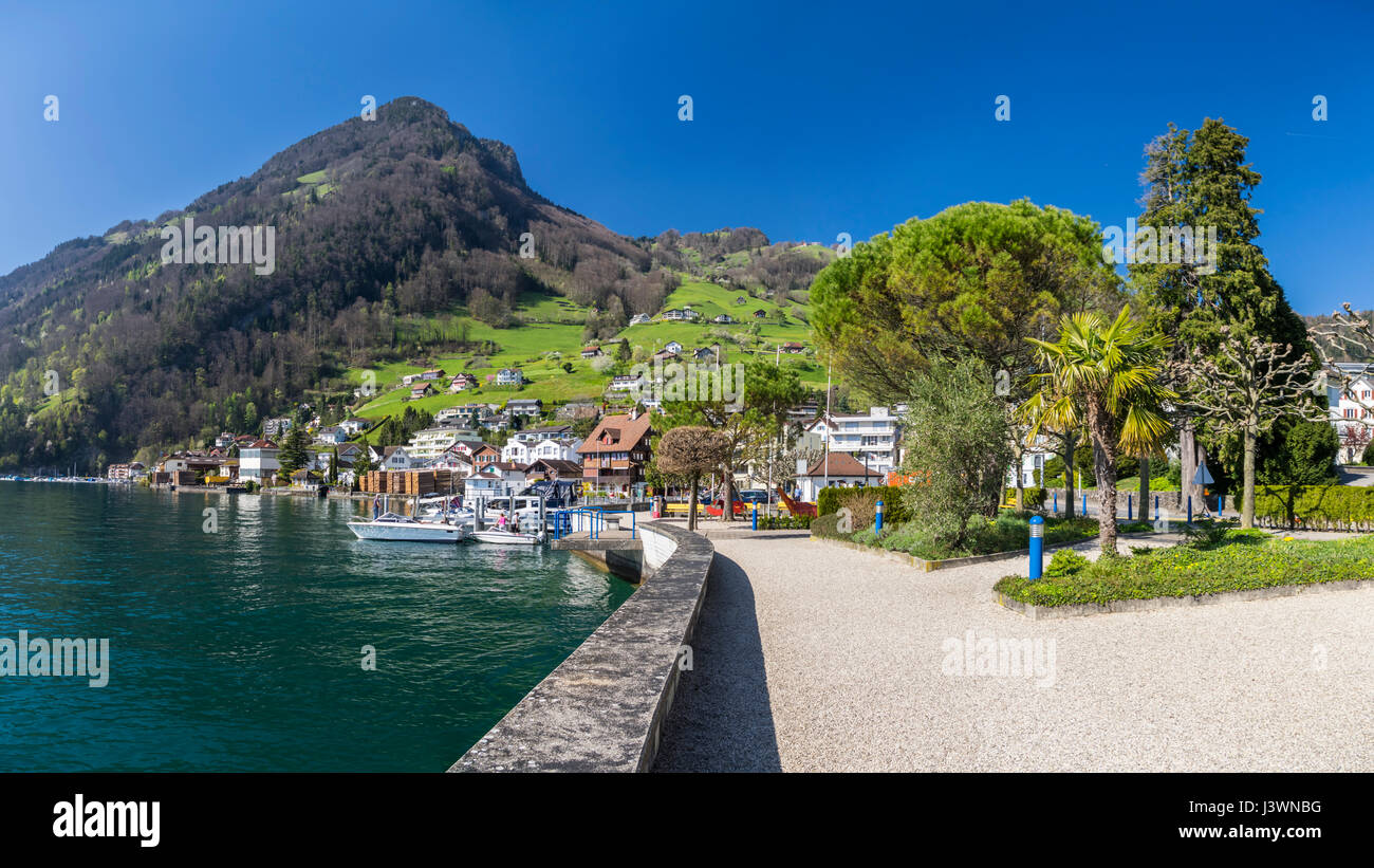 Vista de Rigi Monte desde la aldea de Gersau, situado al pie de las montañas en la orilla del lago de los Cuatro Cantones (Vierwaldstättersee) en Suiza. Foto de stock