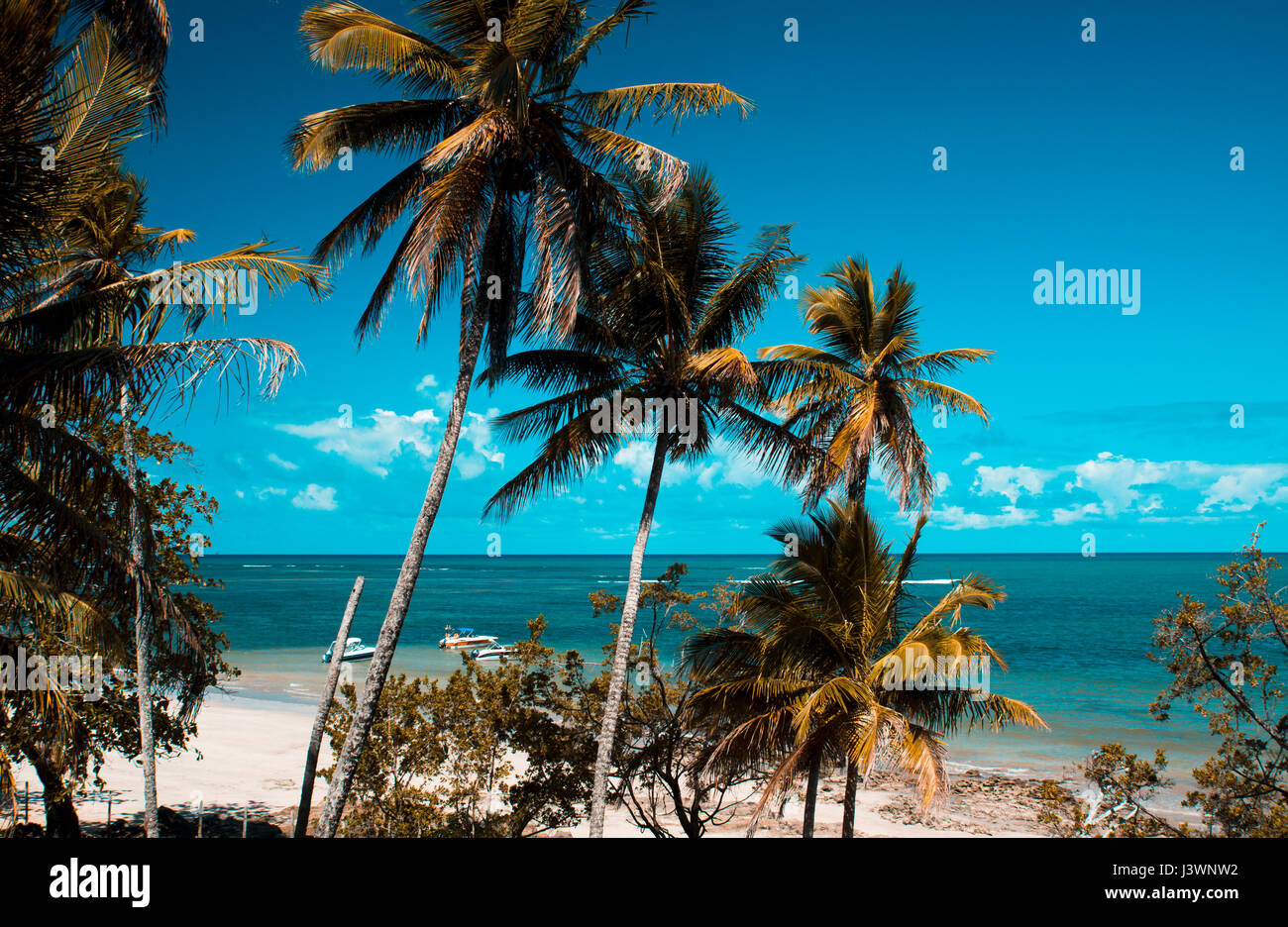 Hermosa playa exótica y tropical de la isla de Boipeba, Brasil Foto de stock