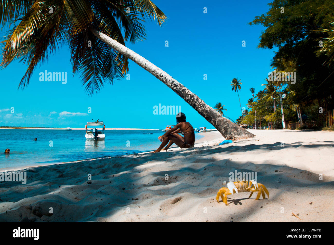Idílico paisaje de playa tropical con un cangrejo en primer plano, Bahia, Brasil Foto de stock