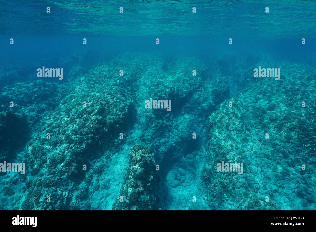 Paisaje submarino rocky oceánicos con los corales en el arrecife exterior pendiente, Océano Pacífico ,Huahine, en la Polinesia Francesa Foto de stock